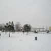 la grande nevicata del febbraio 2012 042
